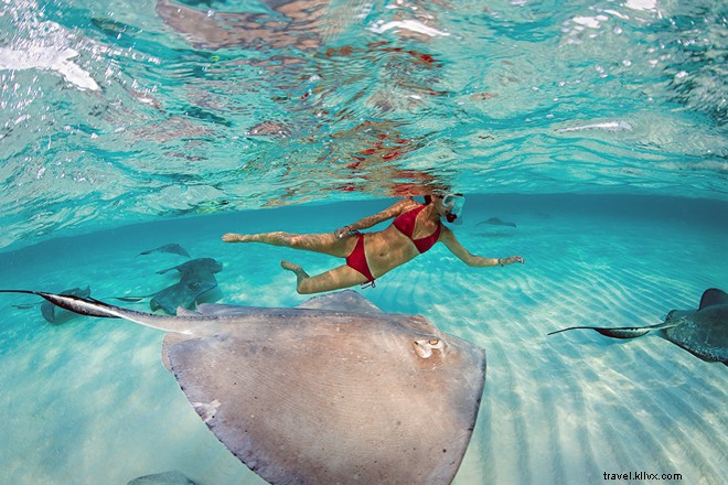 14 maneiras de mergulhar nas Ilhas Cayman 